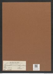 Triceratium robustum Grev. (de-Toni-Nr.: Genus 140, Species 3796) Zeichnungen Sammlung Grunow Mappe 03875 (Herbarium_W_Grunow_drawings_Folder_03875)